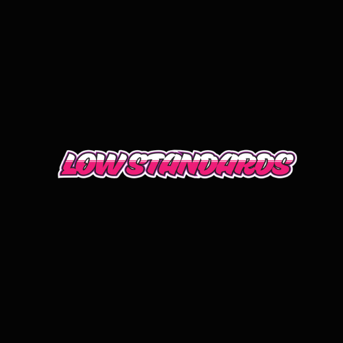 LOW STANDARDS - MULTI COLOUR - STICKER