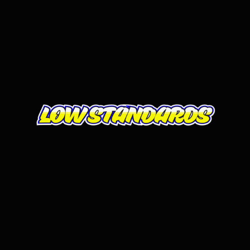LOW STANDARDS - MULTI COLOUR - STICKER