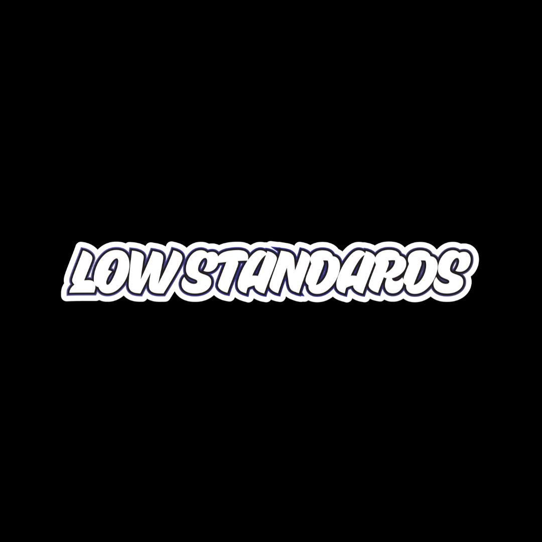 LOW STANDARDS - MULTI COLOUR - STICKER