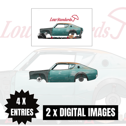 $10 DIGITAL IMAGE PACK - 4 X ENTRIES