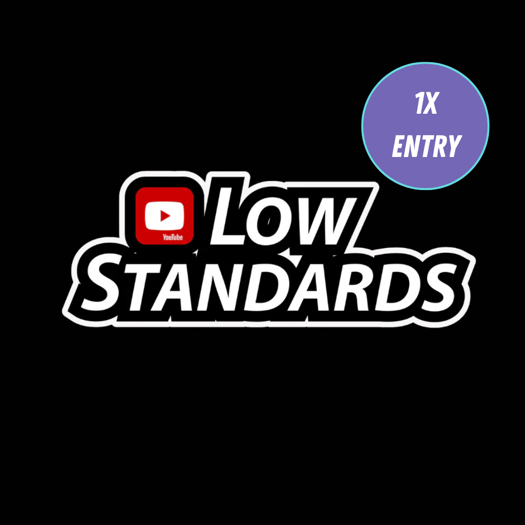 LOW STANDARDS - MEDIUM - STICKER