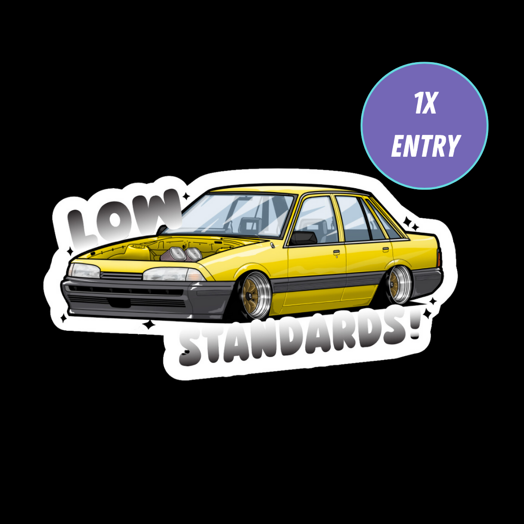 VL - LOW STANDARDS - STICKER