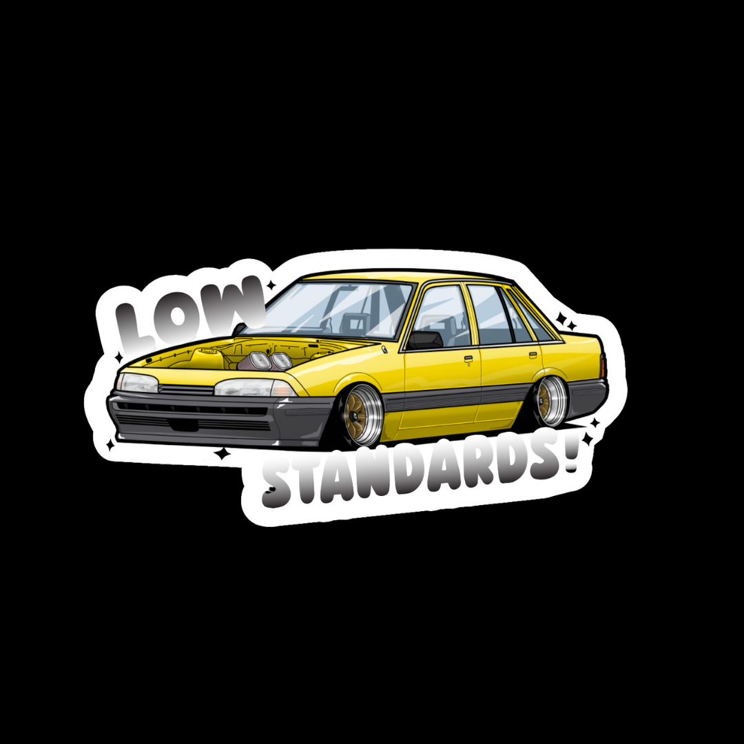 VL - LOW STANDARDS - STICKER