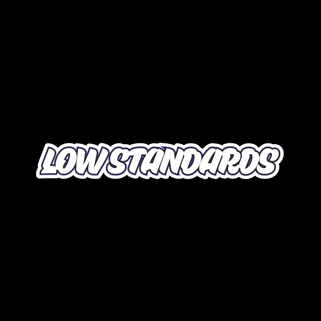 LOW STANDARDS - BLUE - STICKER