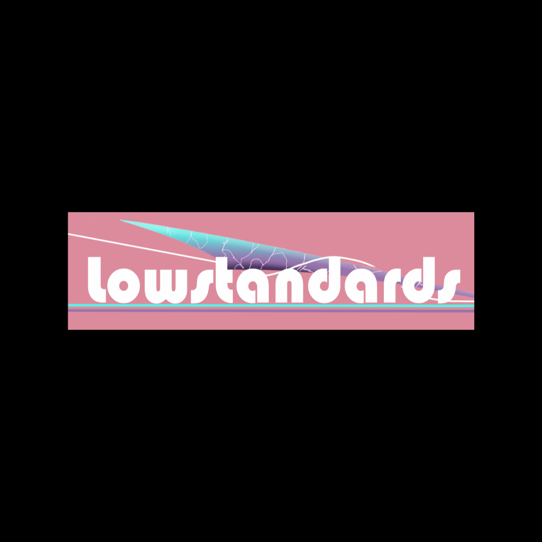 LOW STANDARDS - PINK- STICKER