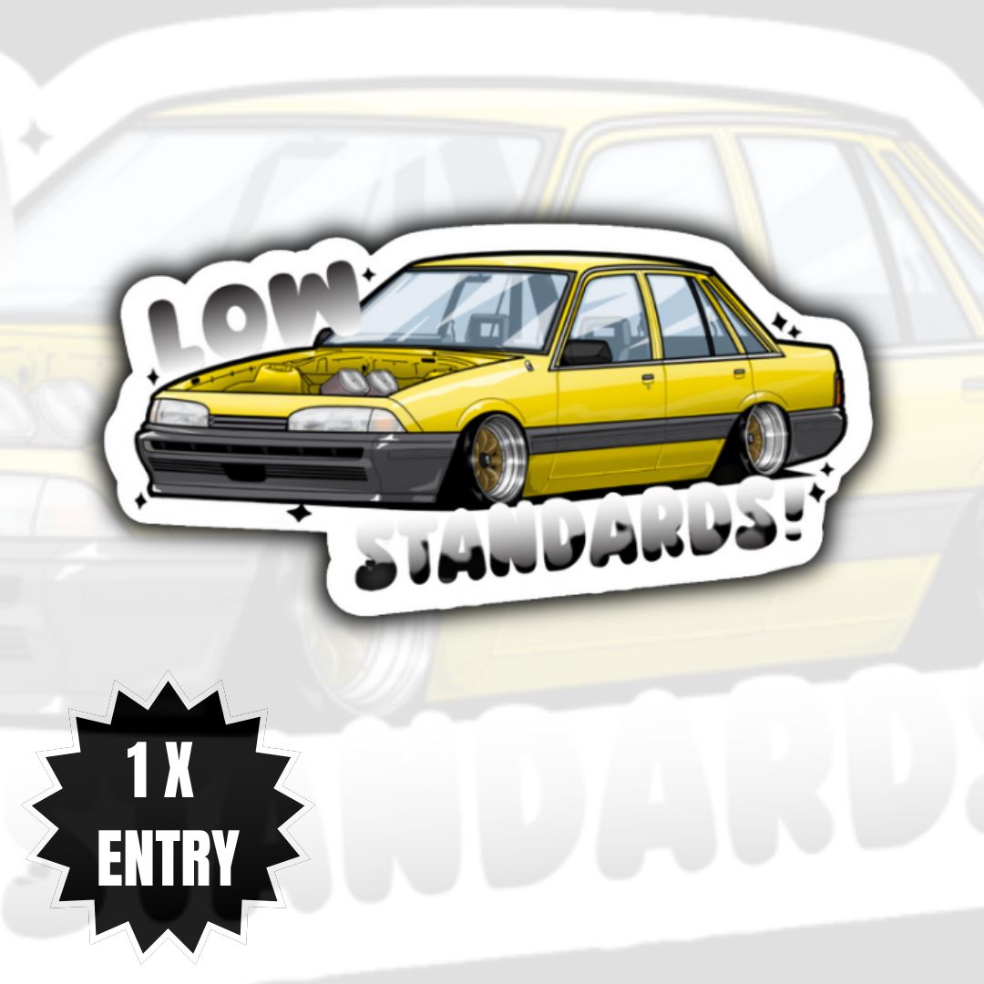 VL - LOW STANDARDS - STICKER
