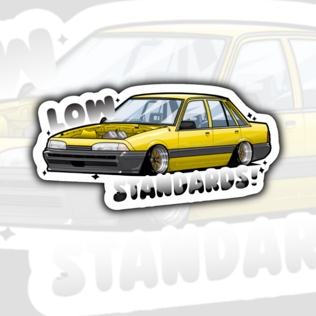 VL - LOW STANDARDS - STICKER